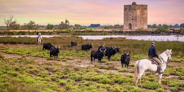 copertina Camargue, Il Regno D'Acqua Dolce