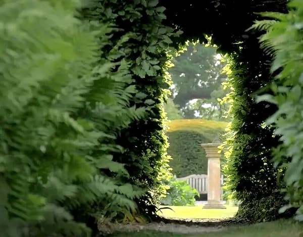 copertina Giardini Fantastici E Dove Trovarli E1 - Il Giardino Di Ruth Bancroft