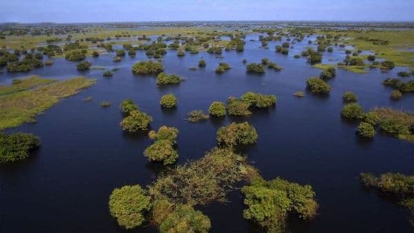 copertina del programma La Vita Segreta Dei Laghi