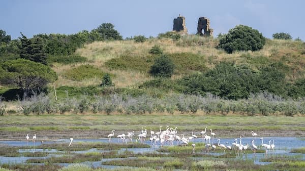 copertina Maremma -E3