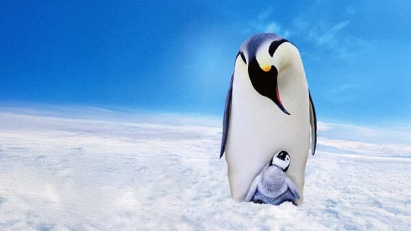 copertina del programma Pinguini - Una spia nel gruppo