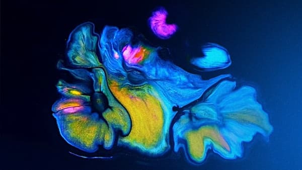 copertina del programma Poke Stories. Georges Simenon (Pt.7)