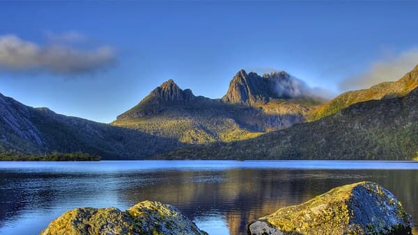copertina Tasmania Selvaggia