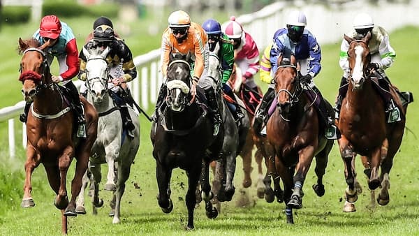 copertina Ippica. Royal Ascot: Gold Cup