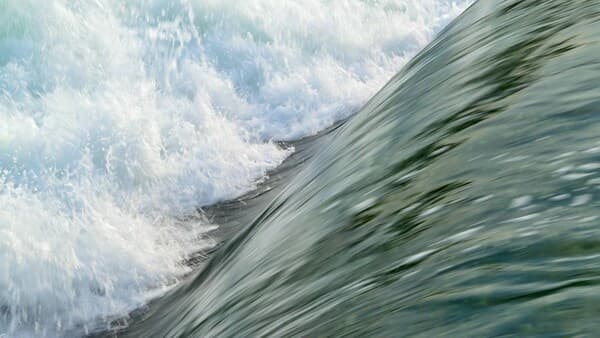 copertina del programma Acque Selvagge - Magia Di Fiumi E Torren