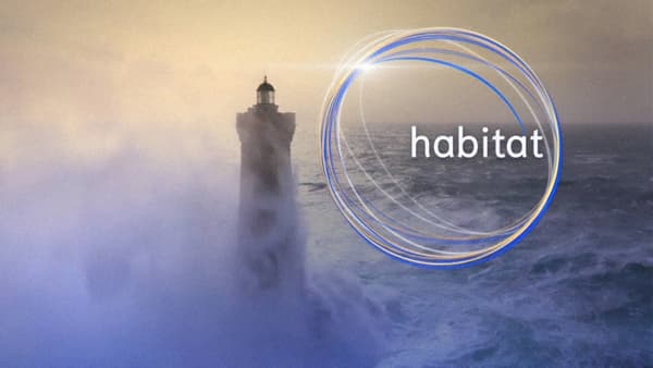 copertina del programma Habitat Ep. 11  Per Rai