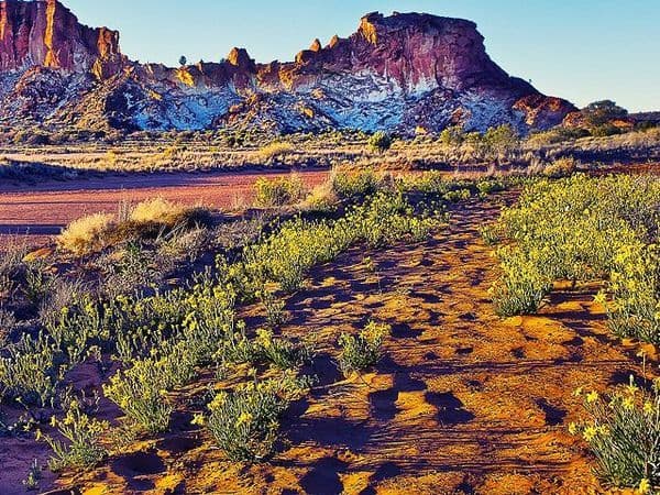copertina del programma I Meccanismi Della Natura - Ep. 1 - La G