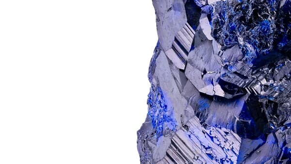 copertina I Segreti Delle Rocce Calcare La Forma D