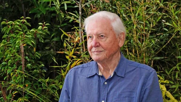 copertina Il Pianeta Verde Ep. 3 - Il Ciclo Delle