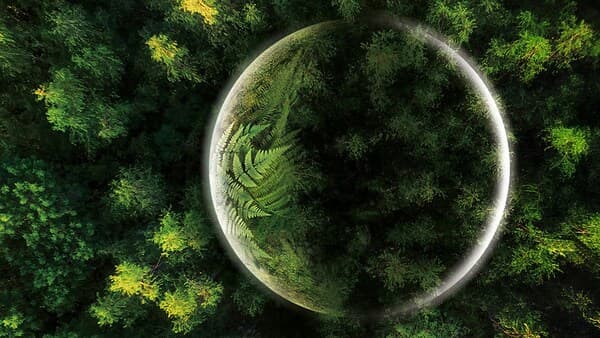 copertina Il Pianeta Verde Ep. 1 - Foreste Tropica