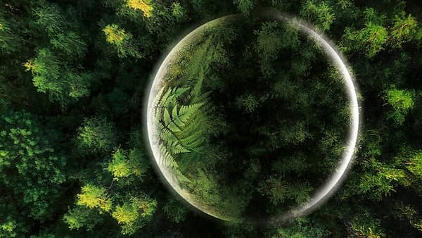 copertina Il Pianeta Verde Ep. 3 - Il Ciclo Delle