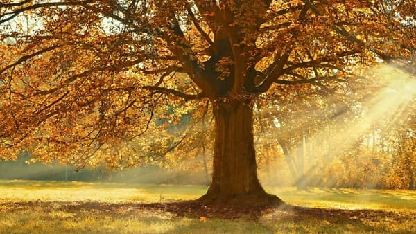 copertina Maremma Autunno Ep.1