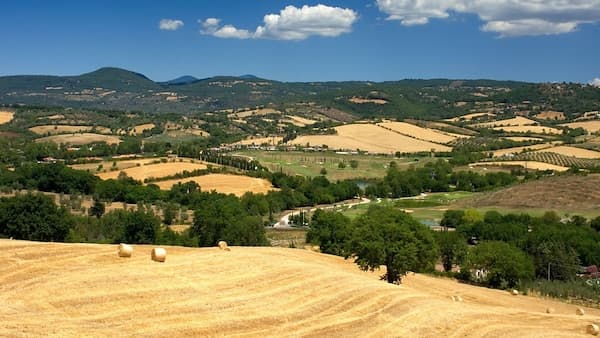 copertina Maremma Estate Ep 4