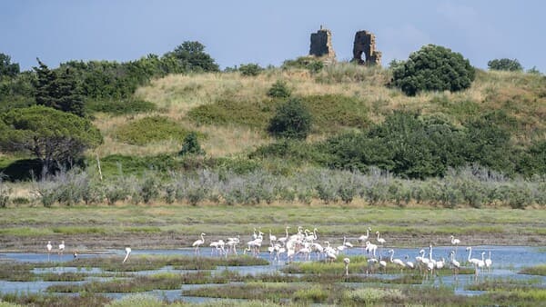 copertina Maremma Estate Ep 4