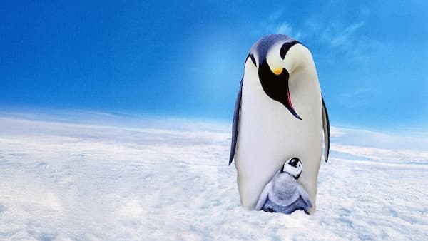 copertina Pinguini Una Spia Nel Gruppo - Ep. 3