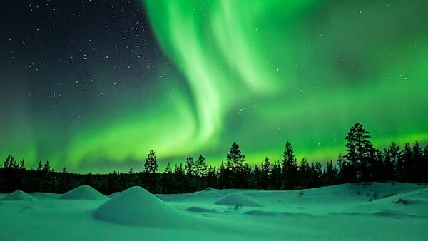 copertina Viaggi Nelle Terre Del Nord Svezia, La T