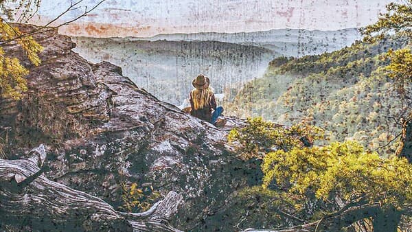 copertina Wild Italy L'Antropocene Ep. 6 - La C