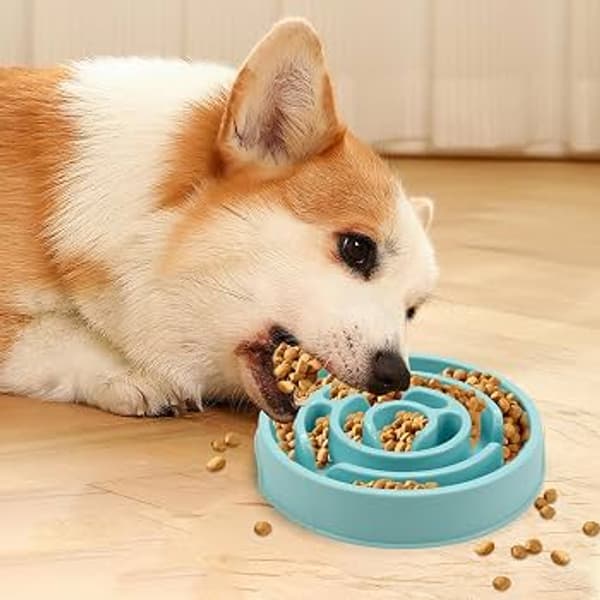 copertina del programma Pericolosamente obesi