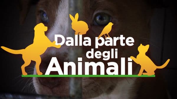 copertina Dalla parte degli animali