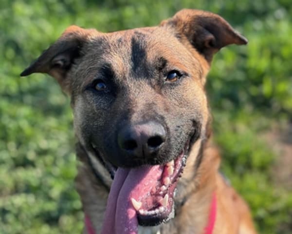 copertina del programma I mille cancelli di Filippo