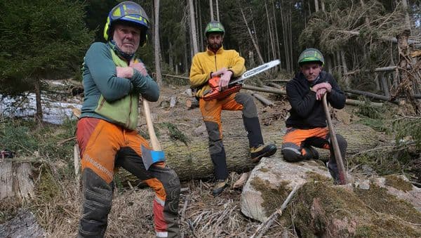 copertina del programma Undercut: l'oro di legno