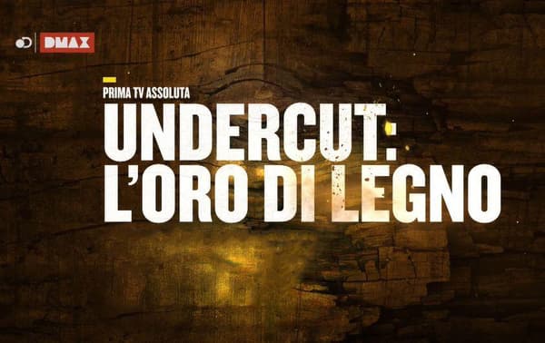 copertina del programma Undercut: l'oro di legno - Scintille