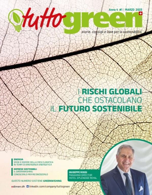 copertina Le sfide di Mico