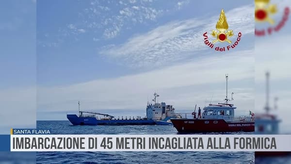 copertina Trasporto Formiche