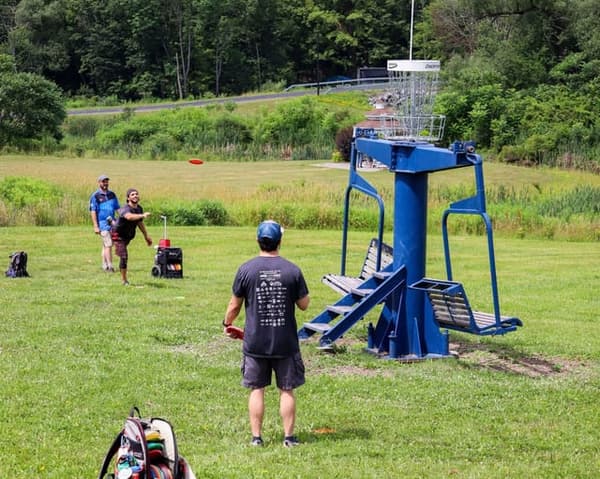 copertina del programma Il mio gatto è in cima all'albero!