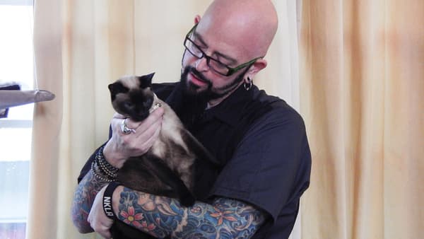 copertina del programma Il mio gatto è indemoniato