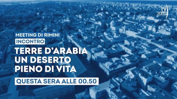 copertina VISITA ALLA CITTA  DI RIMINI