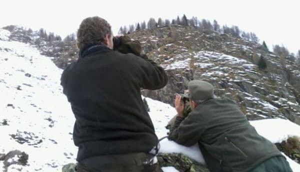 copertina A scuola nel bosco 1