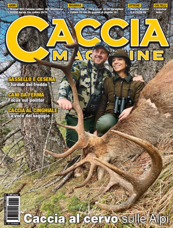 copertina Focus cinghiale 2