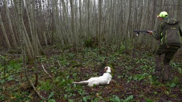 copertina Il beccacciaio solitario