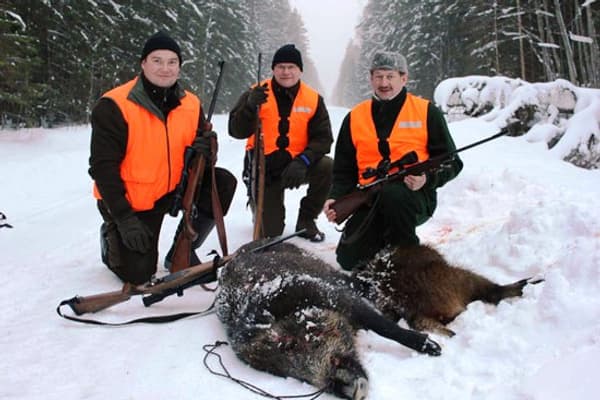copertina del programma La giornata di Estonia