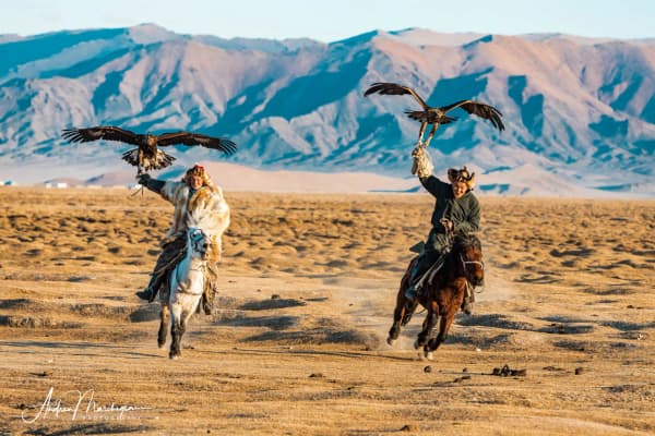 copertina del programma Magica Mongolia
