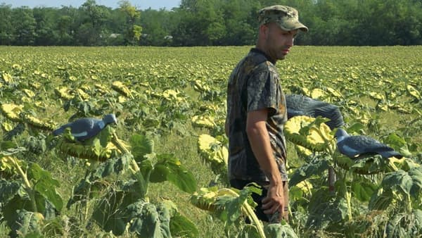 copertina Migratoria e 410 1