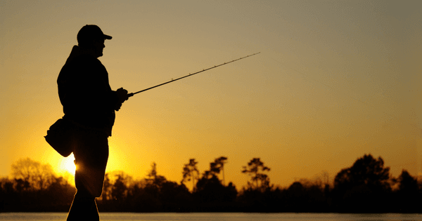 copertina Ritorno alla natura 1