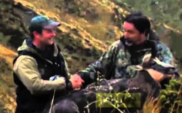 copertina del programma Sapharia - Destinazione Nuova Zelanda