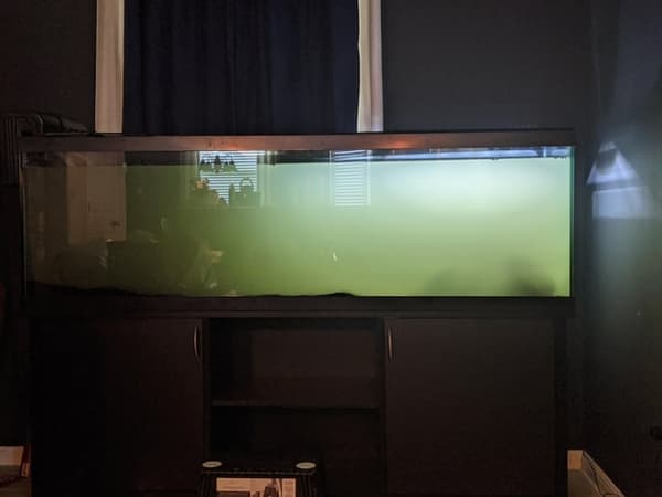 copertina Tanto ora schiarisce