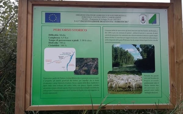 copertina Tra boschi e montagne 1 - Stag. 1 Ep. 1