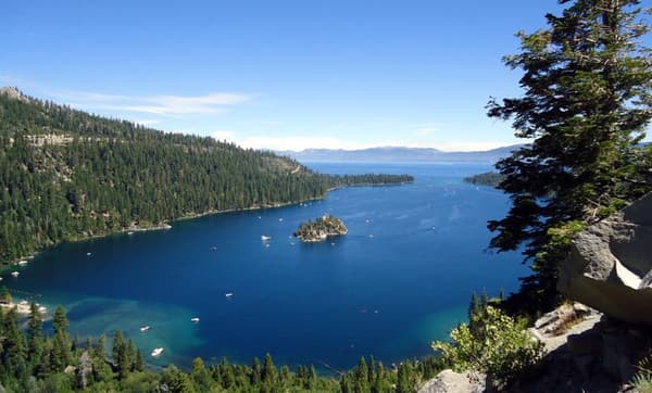 copertina Un mondo di acquatici 6 - Stag. 6 Ep. 2