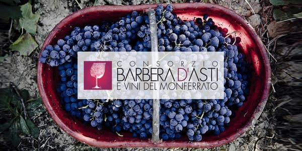 copertina del programma Consorzio Barbera d'Asti - Stag. 1 Ep. 3