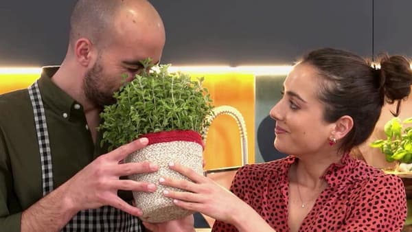 copertina Lodo e Lulu' - Stag. 1 Ep. 4 - Le verdure