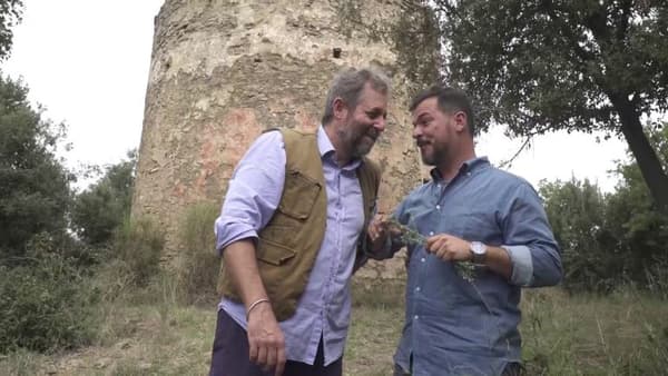 copertina del programma Vino cibo e natura - Stag. 1 Ep. 4 - Anguilla. 2a parte