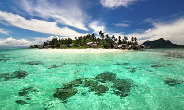 copertina del programma Mi compro un'isola - Stag. 1 Ep. 6 - Fiji