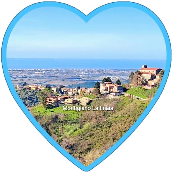 copertina Natale alla Casa Bianca 2024