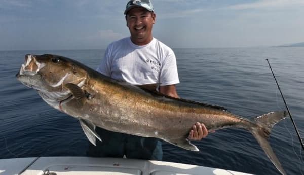 copertina A pesca con Walter - Speciale Pelagici 4 - Stag. 4 Ep. 1