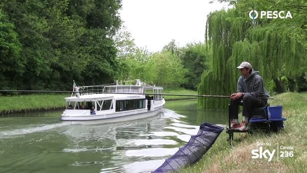 copertina del programma Alberto Bettella