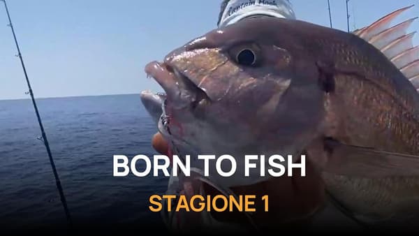 copertina Born to Fish 1